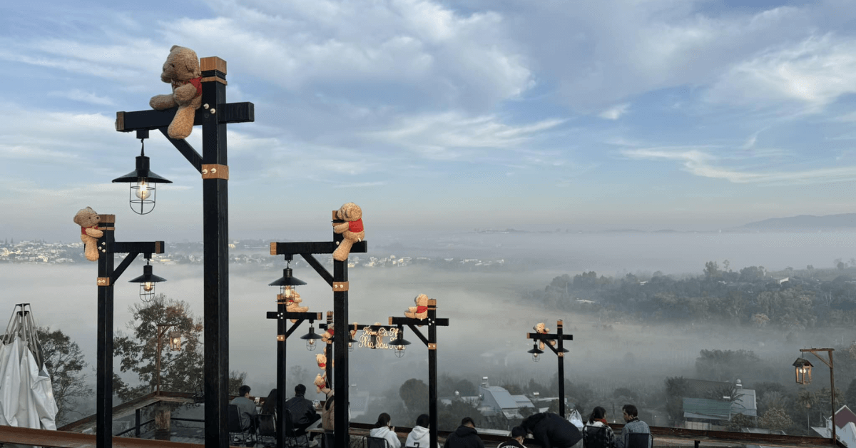 Cà Phê Phía Sau Nhà